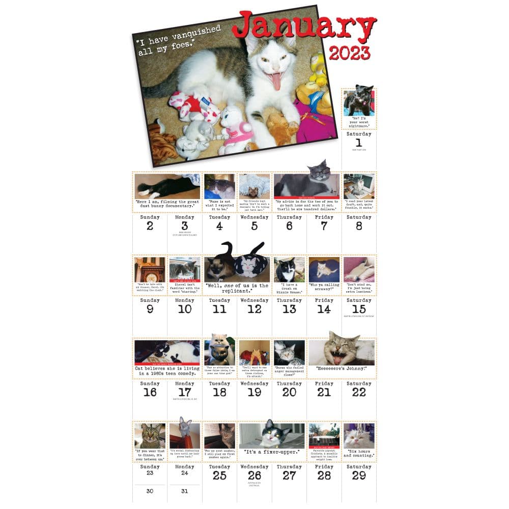 Bad Cat 365 Days 2023 Wall Calendar Calendars