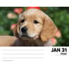 image Just Goldens 2025 Desk Calendar