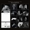 image Horse Portraits 2026 Wall Calendar First Alternate Image