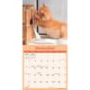 image Curious Kittens 2025 Mini Wall Calendar Fourth Alternate Image width=&quot;1000&quot; height=&quot;1000&quot;