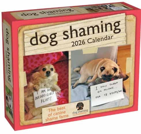 image Dog Shaming 2026 Desk Calendar Main Product Image