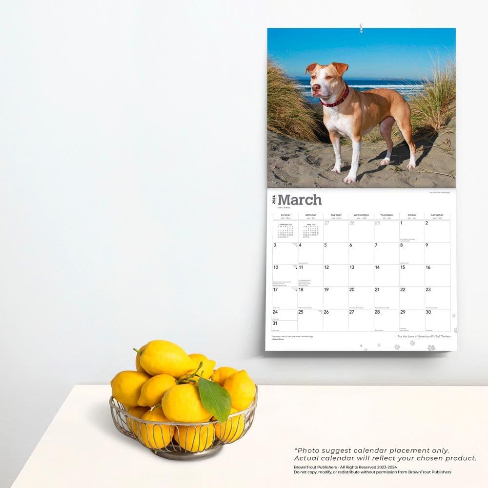 Pit Bull Terriers Deluxe 2024 Wall Calendar Third Alternate Image width=&quot;1000&quot; height=&quot;1000&quot;
