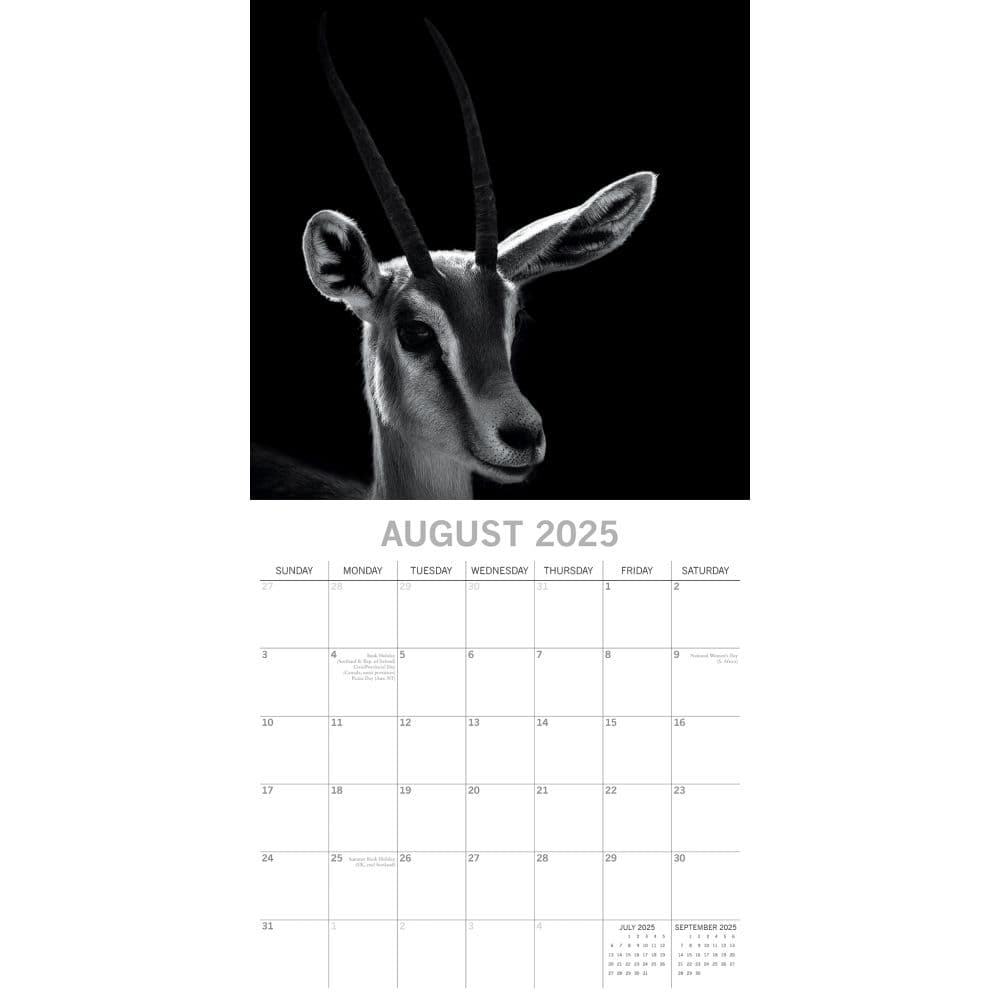 Wild Portraits 2025 Wall Calendar - Calendars.com