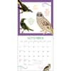 image Effin Birds 2025 Wall Calendar Second Alternate Image width=&quot;1000&quot; height=&quot;1000&quot;