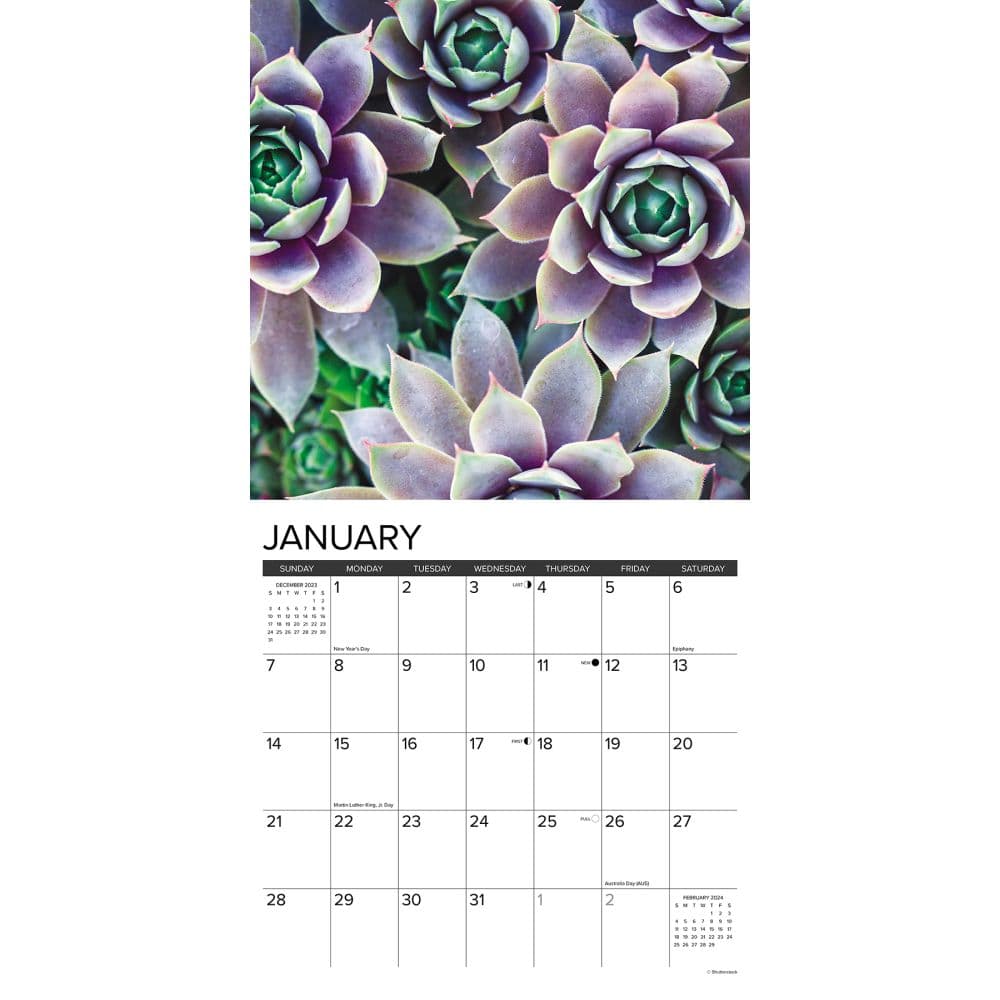 Succulents 2024 Wall Calendar