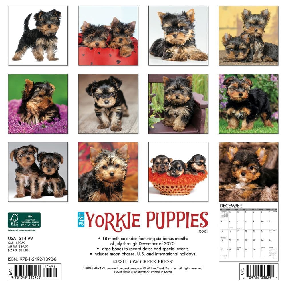 Just Yorkie Puppies dog breed calendar Free Shipping 2021 Wall Calendar