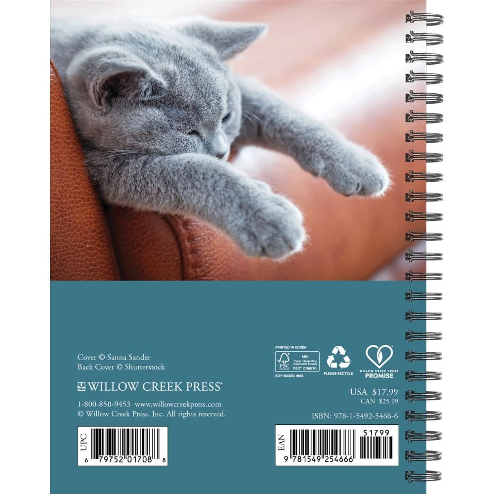 What Cats Teach Us 2026 Engagement Planner First Alternate Image