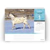 image Horse Lovers 2024 Desk Calendar Second Alternate  Image width=&quot;1000&quot; height=&quot;1000&quot;