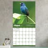 image Backyard Birds 2025 Wall Calendar April