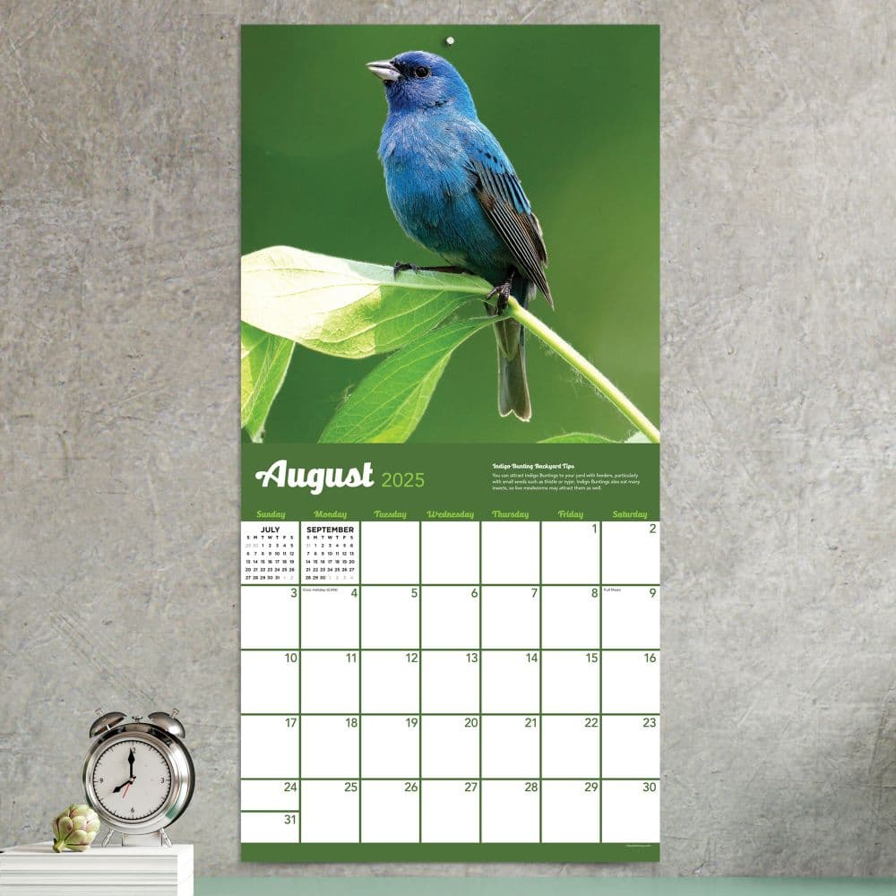 Backyard Birds 2025 Wall Calendar April