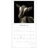 image I am Goat 2026 Wall Calendar Second Alternate Image