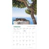 image Travel Cats 2025 Wall Calendar Main Product Image Third Alternate Image