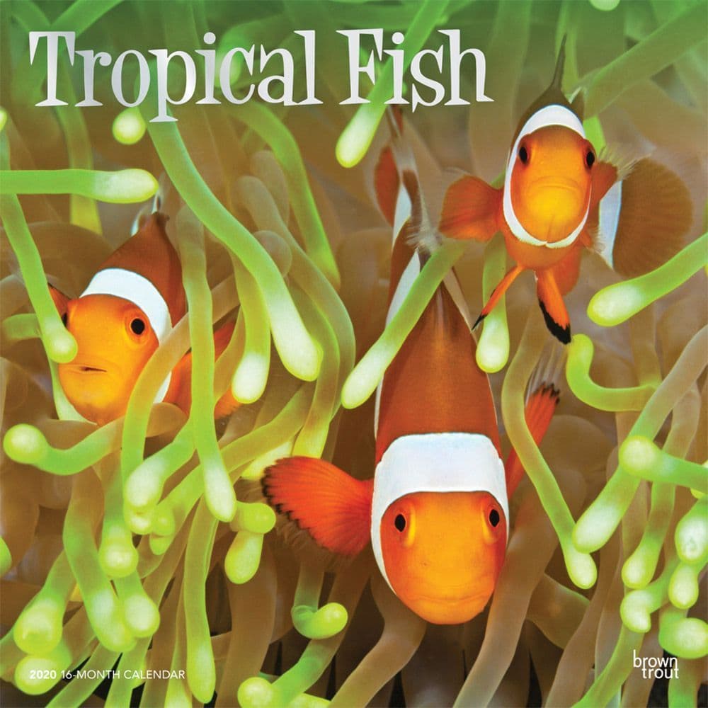 Tropical Fish Wall Calendar