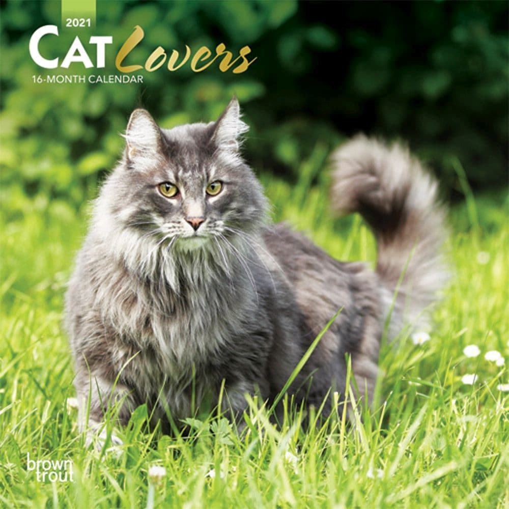 Cats Mini Wall Calendar