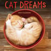 image Cat Dreams 2024 Wall Calendar Main Image