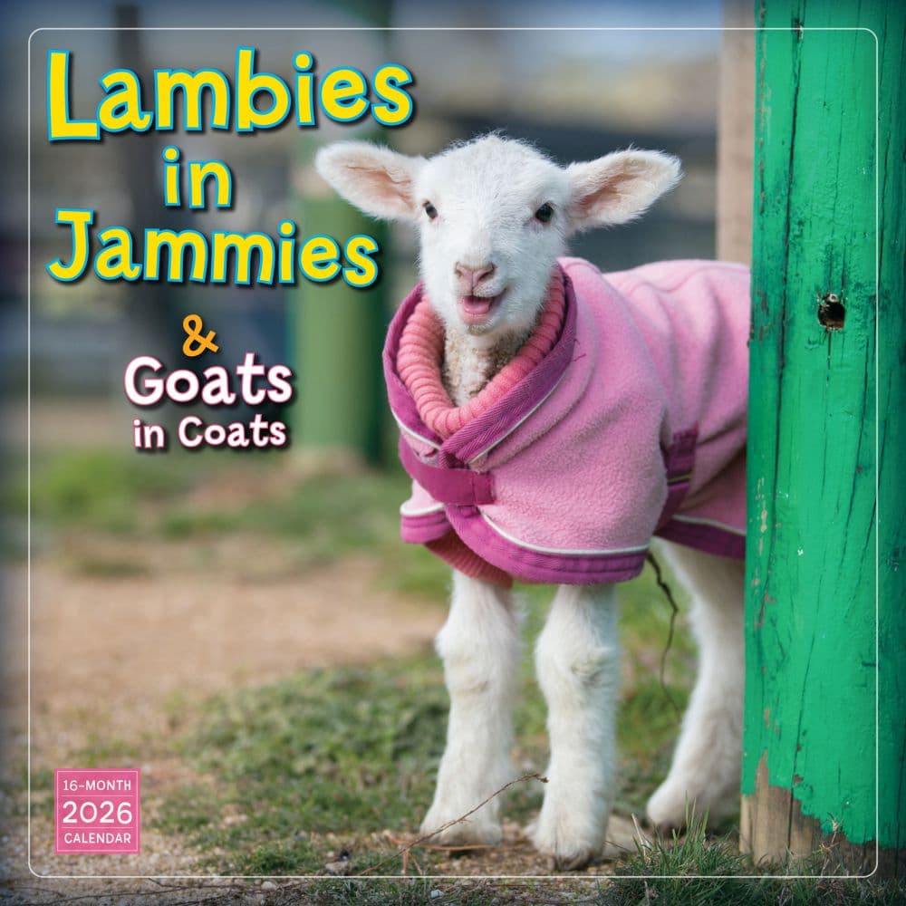 Lambies in Jammies 2026 Wall Calendar_Main Image