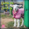 image Lambies in Jammies 2026 Wall Calendar_Main Image