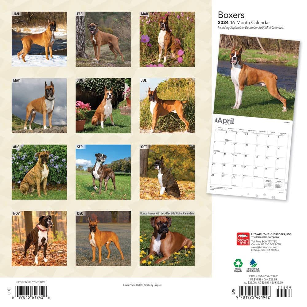 Boxers Wall 2024 Desk Calendar