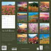 image In Full Bloom 2027 Wall Calendar First Alternate Image