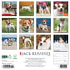 image Just Jack Russells 2025 Wall Calendar