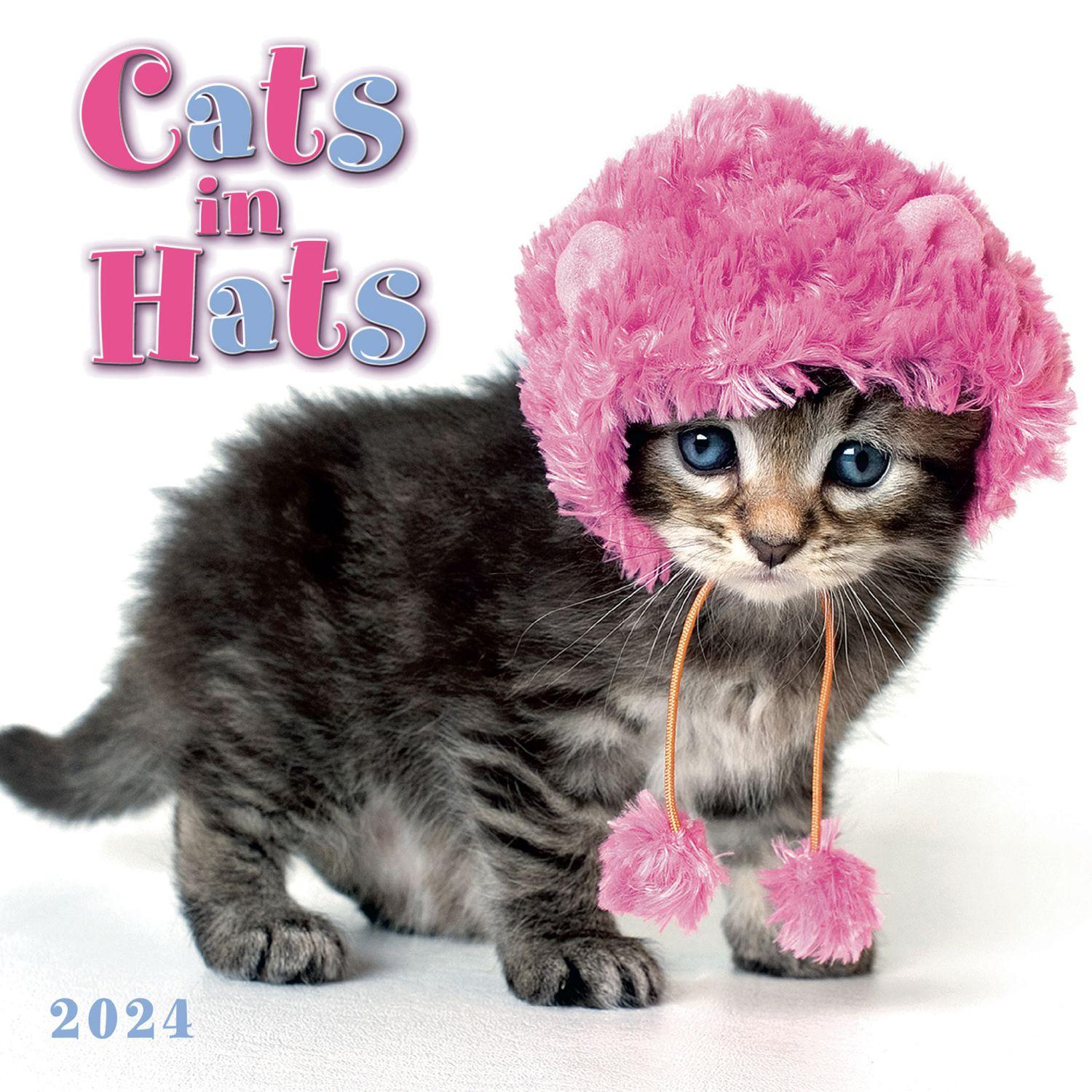 Cats in Hats 2025 Mini Wall Calendar