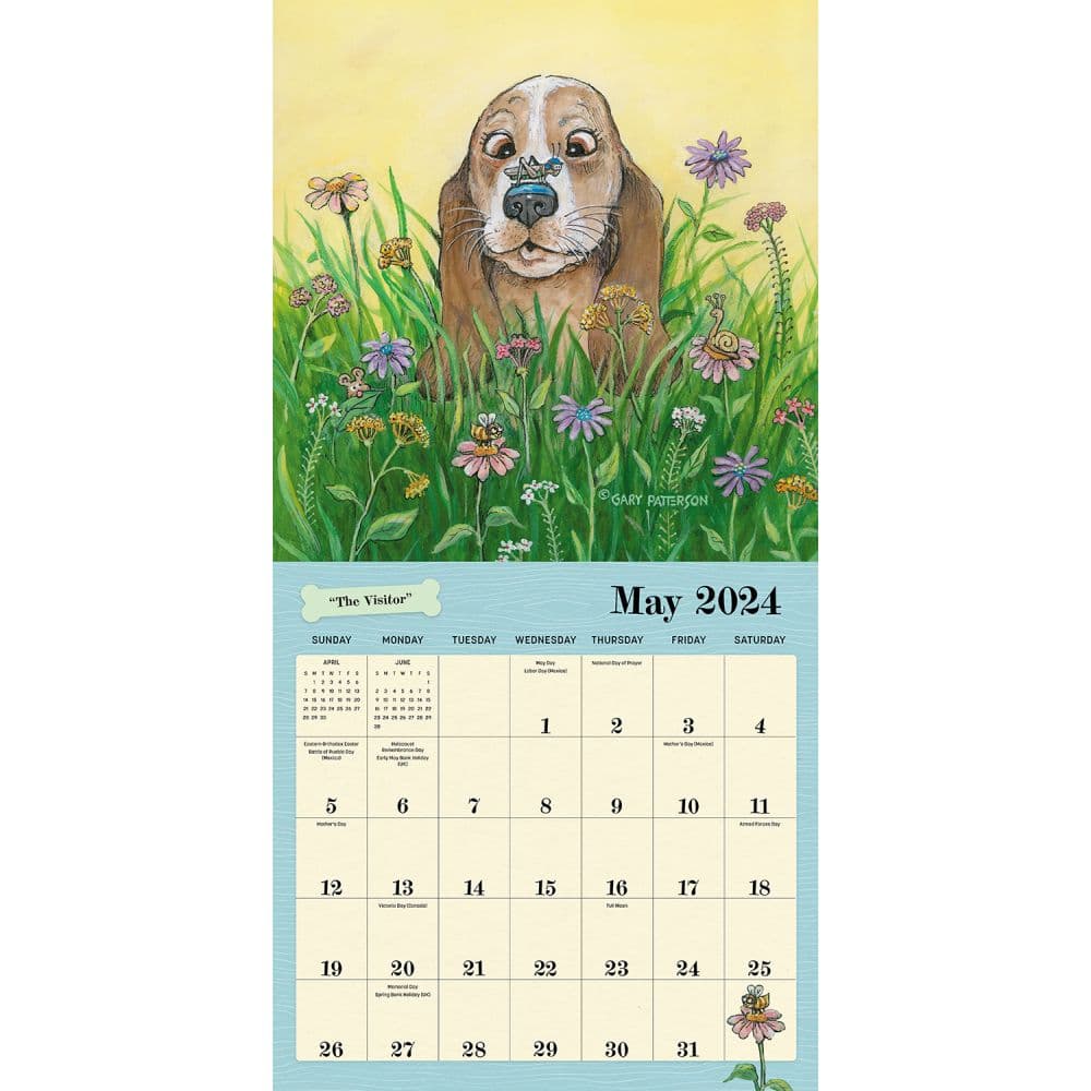 Dogs Pattersons 2024 Wall Calendar alt 4