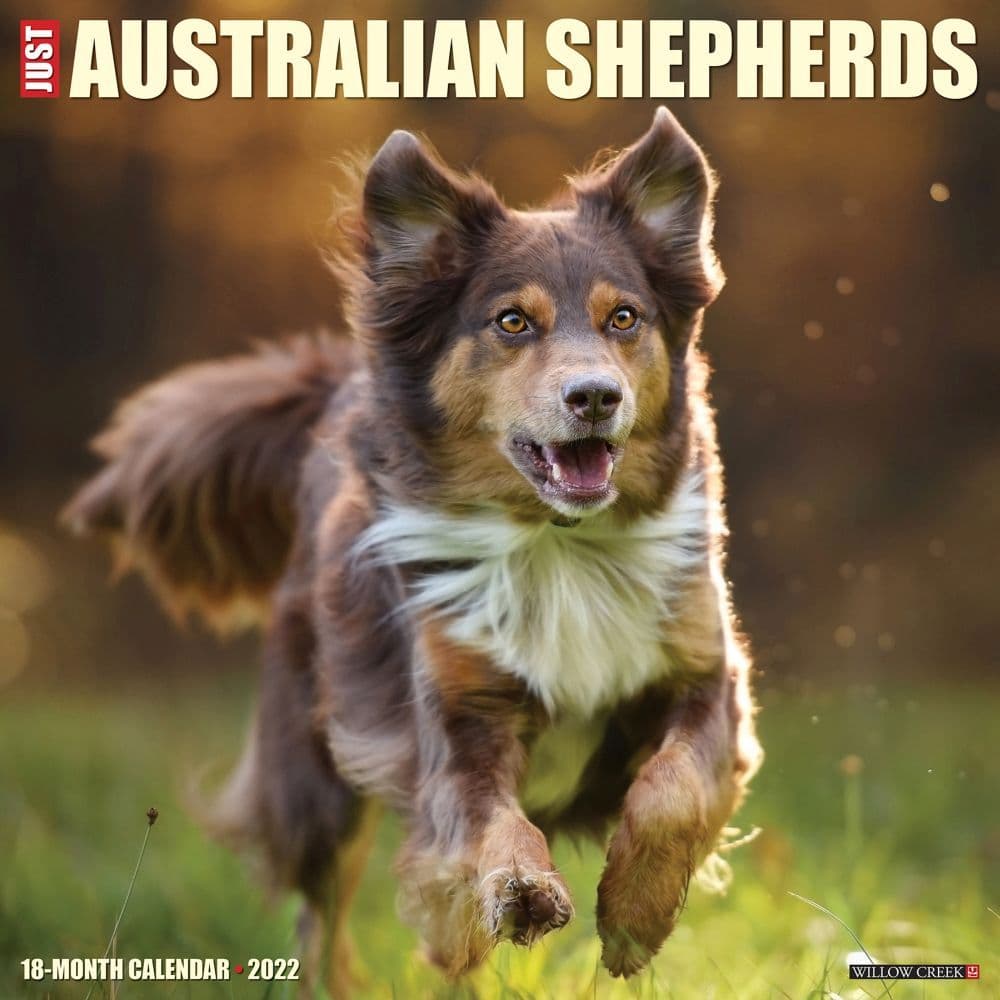 Just Australian Shepherds 2022 Wall Calendar