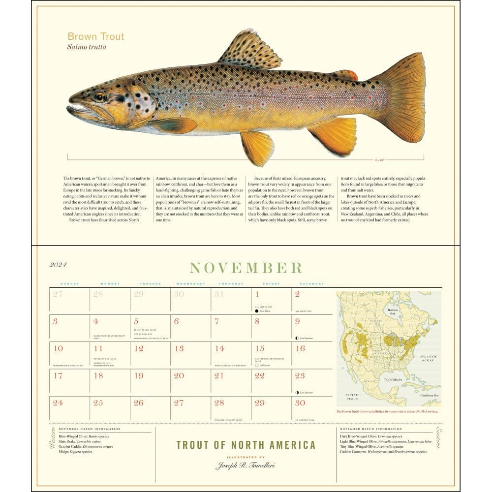 Trout of North America 2024 Wall Calendar November