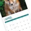 image Baby Foxes 2024 Wall Calendar Third Alternate Image width=&quot;1000&quot; height=&quot;1000&quot;