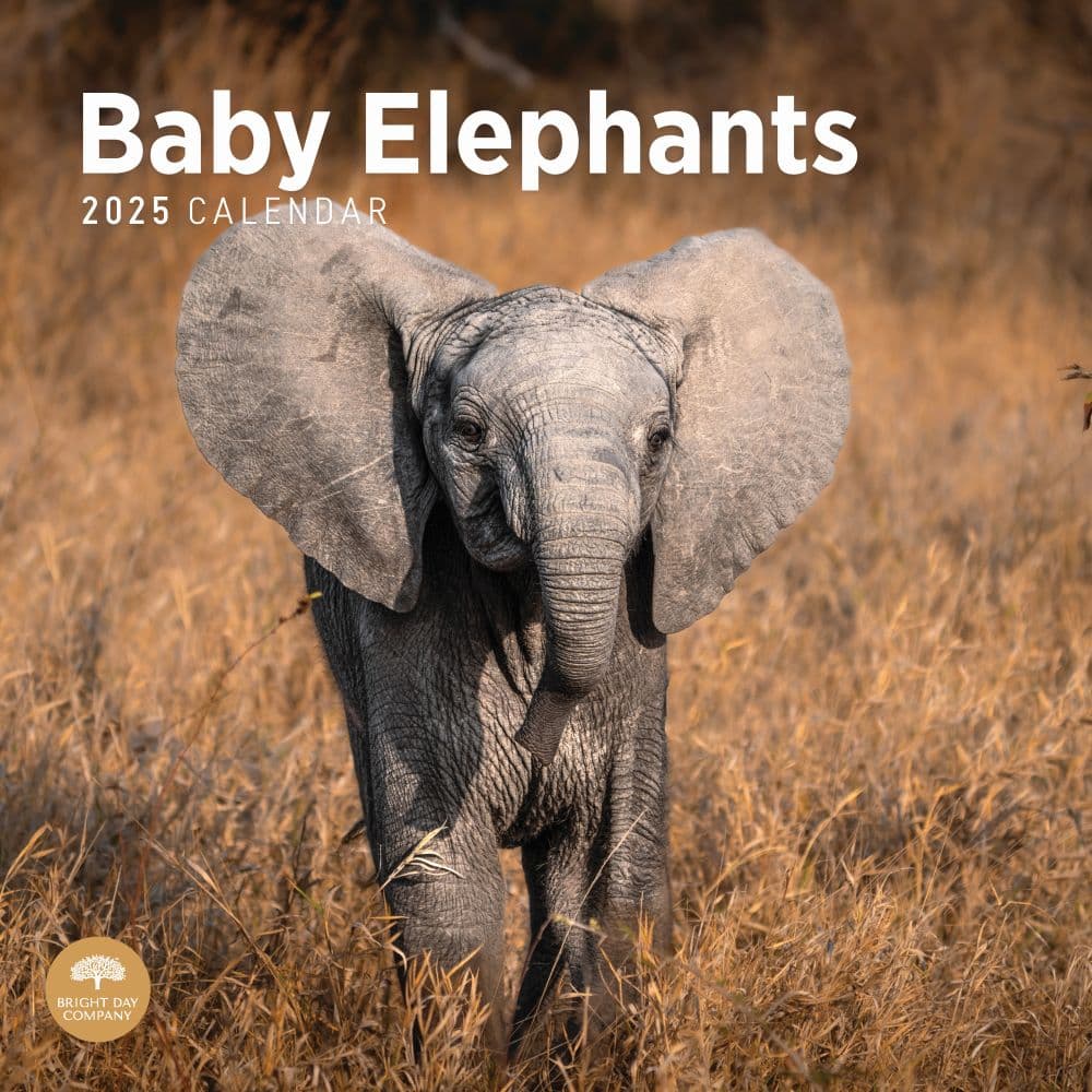 Baby Elephants 2025 Wall Calendar