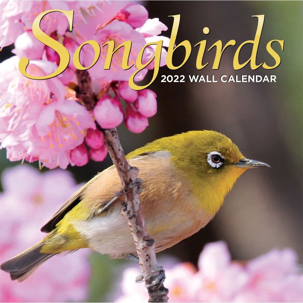 17 Best Bird Calendars 2022 - CalendarBuy.com