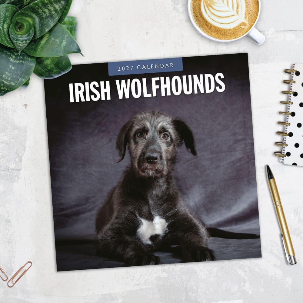 Irish Wolfhounds 2027 Wall Calendar Fourth Alternate Image