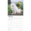 image American Eskimo Dogs 2025 Wall Calendar