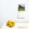 image Staffordshire Bull Terriers 2024 Mini Wall Calendar Third Alternate Image width=&quot;1000&quot; height=&quot;1000&quot;