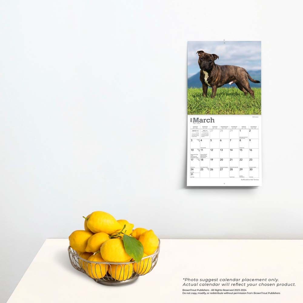 Staffordshire Bull Terriers 2024 Mini Wall Calendar Third Alternate Image width=&quot;1000&quot; height=&quot;1000&quot;