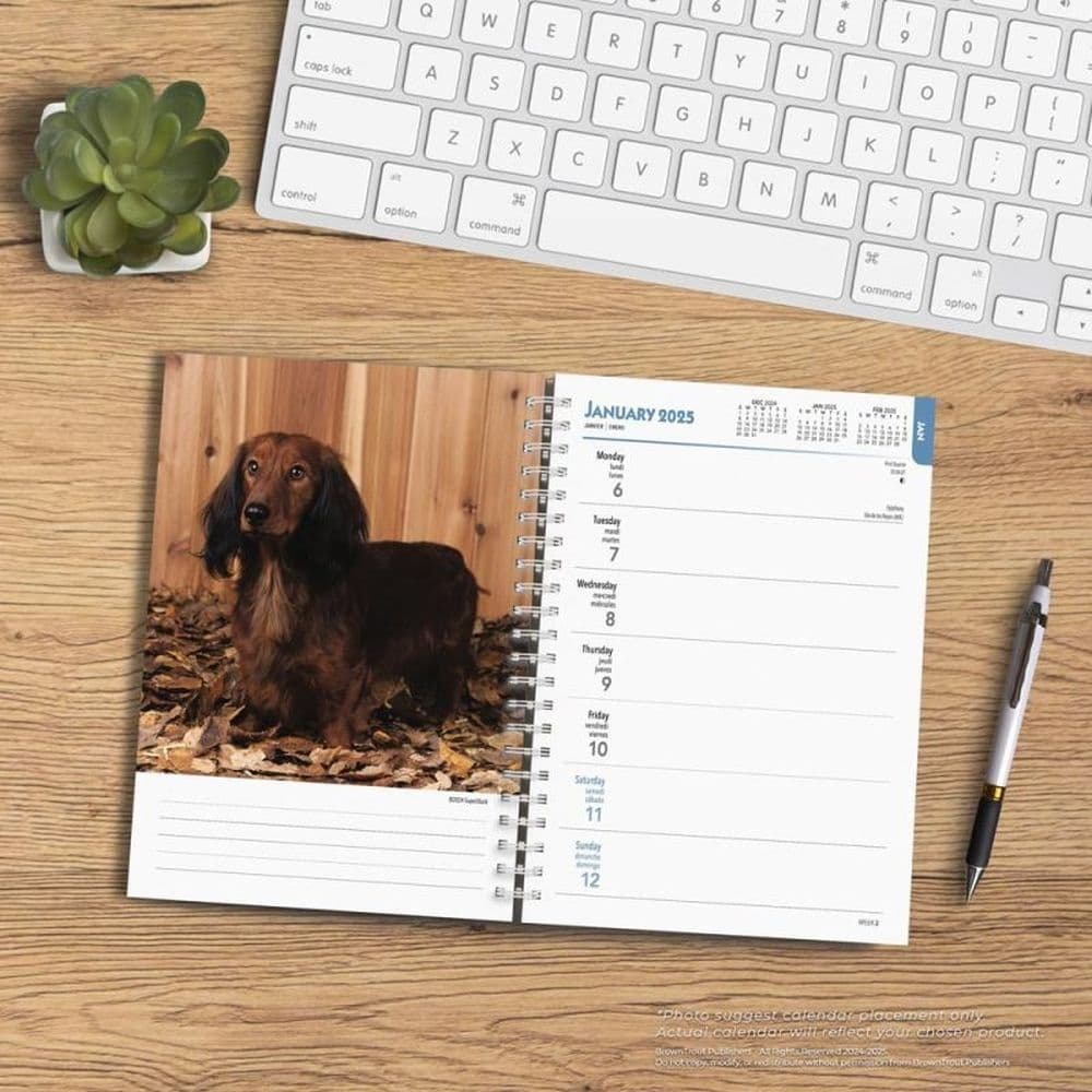 Dachshunds 2025 Engagement Planner Fourth Alternate Image