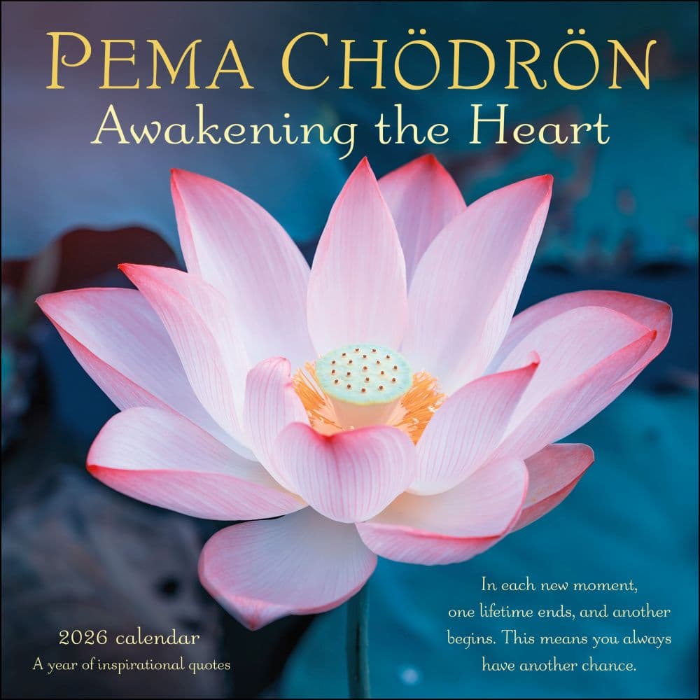 Pema Chodron 2026 Wall Calendar Main Image