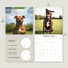 image Staffordshire Bull Terriers 2025 Wall Calendar Alt3