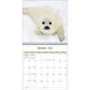 image Baby Animals Photo 2025 Wall Calendar Second Alternate Image width="1000" height="1000"