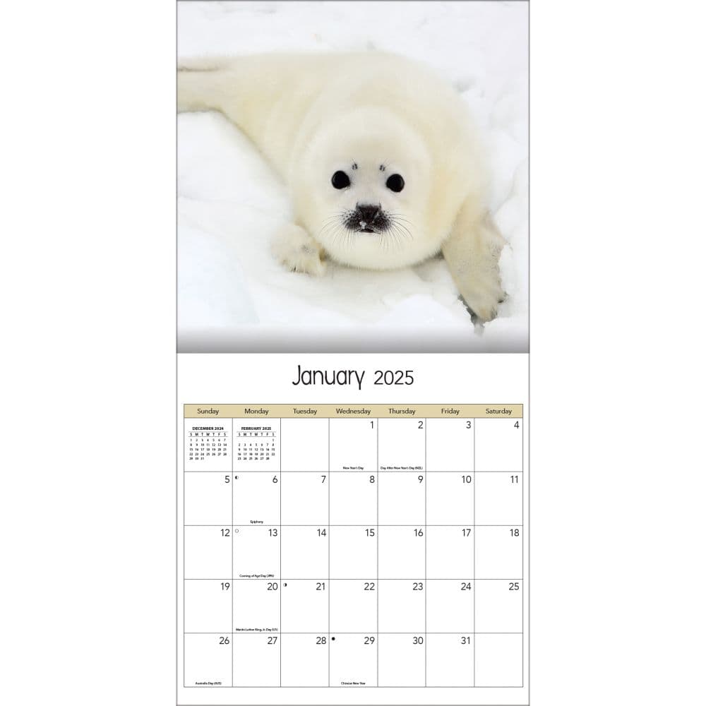 Baby Animals Photo 2025 Wall Calendar Second Alternate Image width="1000" height="1000"