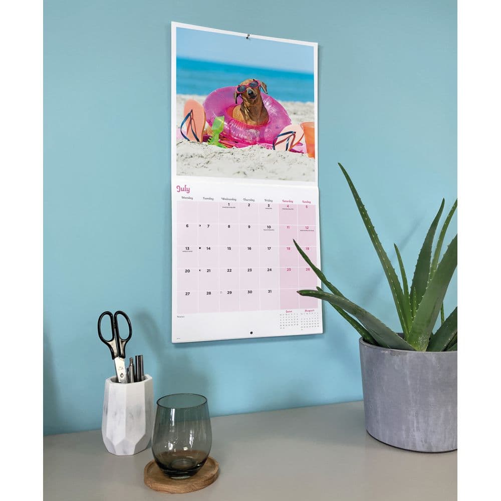 Dogs in Disguise 2026 Wall Calendar Fifth Alternate Image