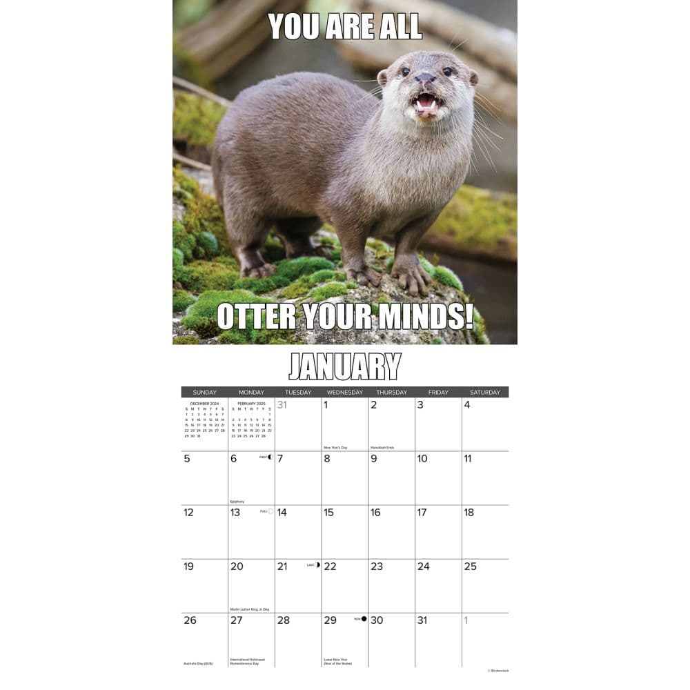 In Otter News 2025 Wall Calendar