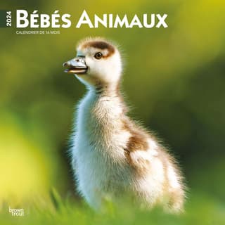 Calendriers 2024 Animaux