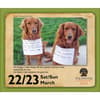 image Dog Shaming 2025 Desk Calendar Third Alternate Image