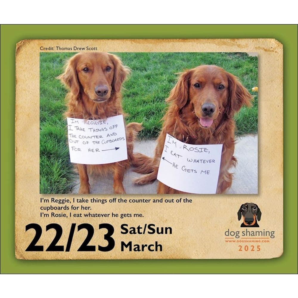 Dog Shaming 2025 Desk Calendar Third Alternate Image