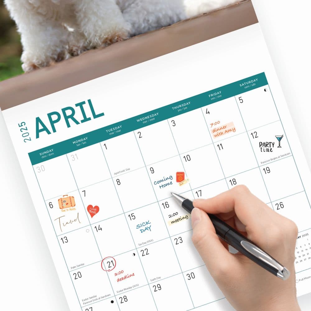 Bichon Frise 2025 Wall Calendar Third Alternate Image