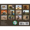 image Labs Afield 2026 Wall Calendar First Alternate Image