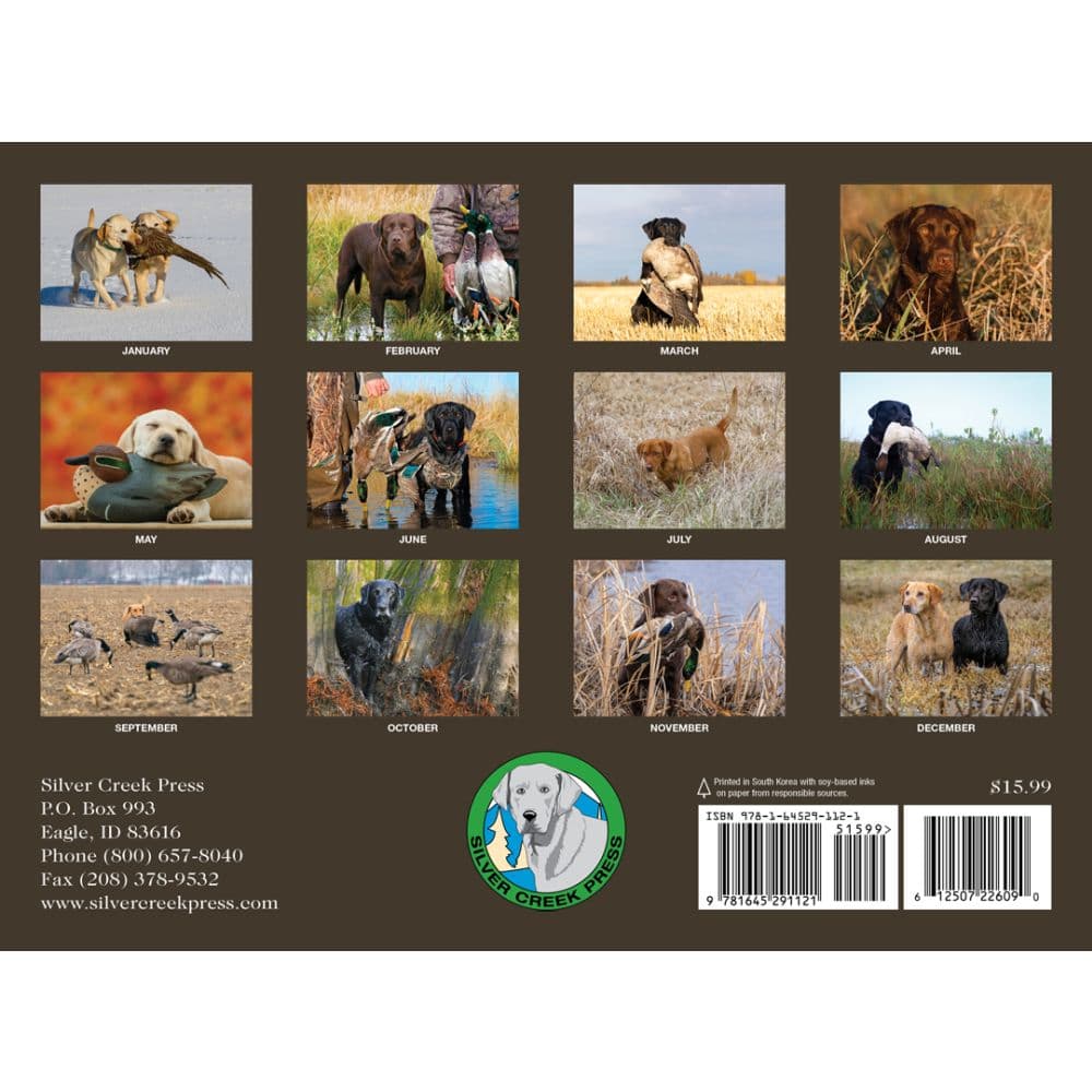 Labs Afield 2026 Wall Calendar First Alternate Image