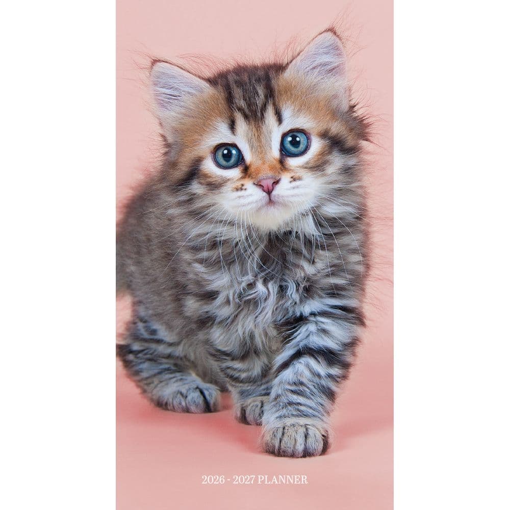 Kitten Cuddles 2 Year 2026 Pocket Planner Main Image