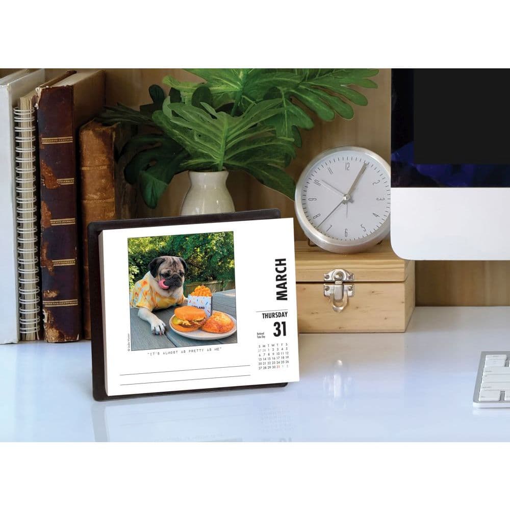 Doug the Pug 2022 Desk Calendar - Calendars.com